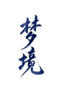 不做爱就无法离开的梦境(NPH 万人迷)