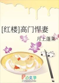 [红楼] 高门悍妻