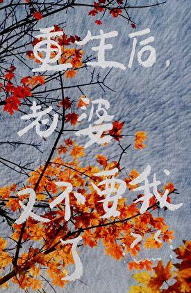 重生后，老婆又不要我了