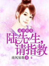 盛世婚宠:陆先生,请指教