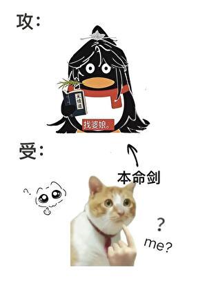 坏剑灵是会被抓去当老婆的！