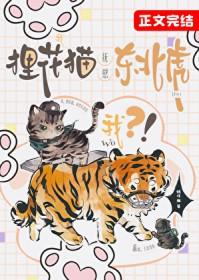 我，狸花猫，抚慰东北虎