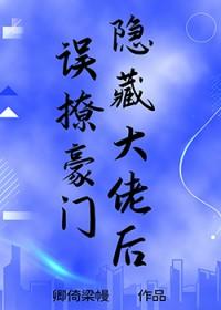 误撩豪门隐藏大佬后